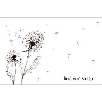 Sympathy/Petit Paris rechthoekige kaarten (liggend)