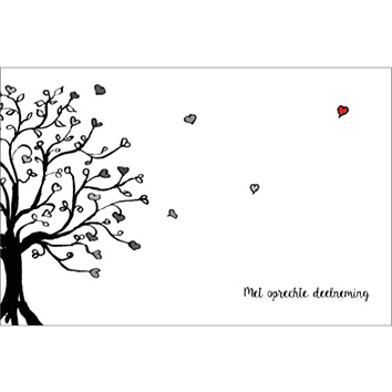 Sympathy/Petit Paris rechthoekige kaarten (liggend)