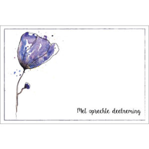 Sympathy/Petit Paris rechthoekige kaarten (liggend)