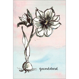 Sympathy/Petit Paris rechthoekige kaarten (staand)