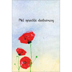 Sympathy/Petit Paris rechthoekige kaarten (staand)