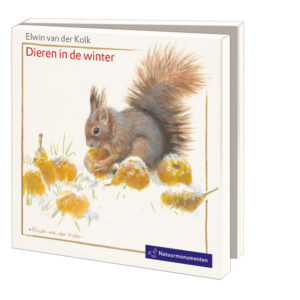 Kerstkaartenmapje Elwin van der Kolk