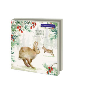 Kerstkaartenmapje Michelle Dujardin